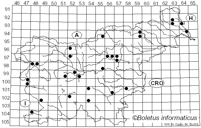 <i>Ramaria fumigata</i> (Peck) Corner (1950)