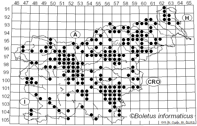 <i>Amanita fulva</i> (Schaeff.) Fr. (1815)