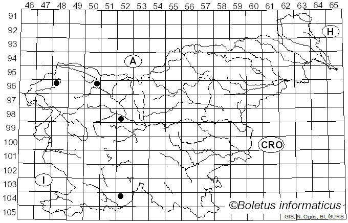 <i>Arthonia</i> Ach. (1806)