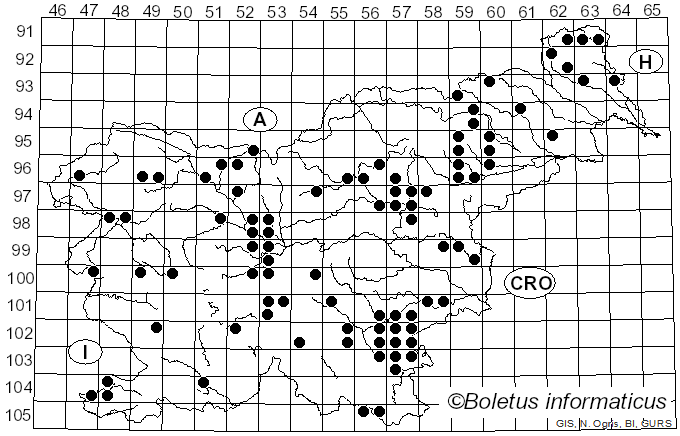 <i>Clitocybe dealbata</i> (Sowerby) Gillet (1874)
