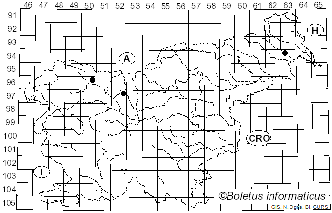 <i>Leptospora</i> Rabenh. (1857)