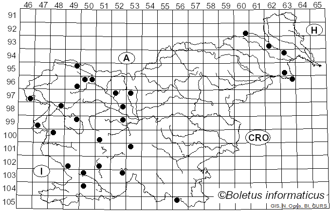 <i>Diaporthe</i> Nitschke (1870)