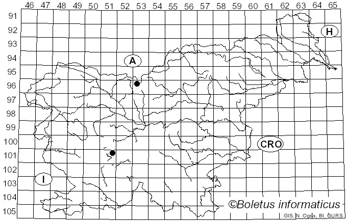 <i>Cheilosia pictipennis</i> Egger