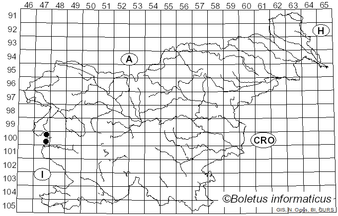 <i>Lamprospora</i> De Not. (1863)