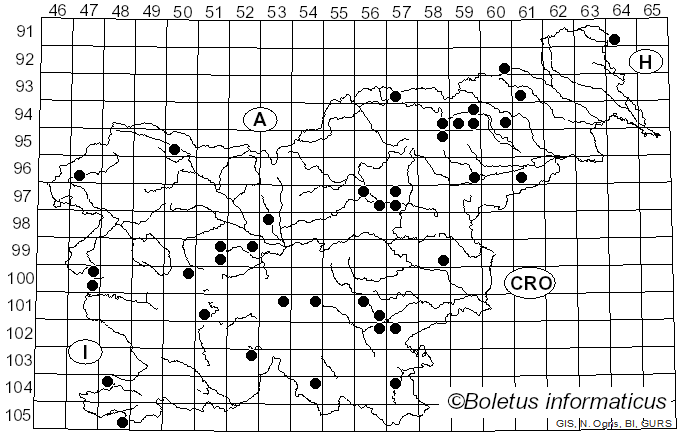 <i>Coprinopsis lagopus</i> (Fr.) Redhead, Vilgalys & Moncalvo (2001)