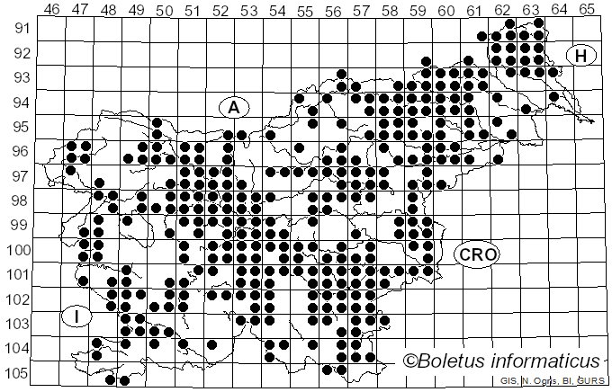 <i>Macrolepiota</i> Singer (1948)