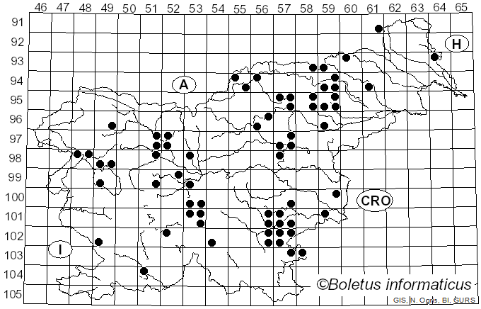 <i>Cortinarius purpureus</i> (Bull.) Bidaud, Moënne-Locc. & Reumaux (1994)