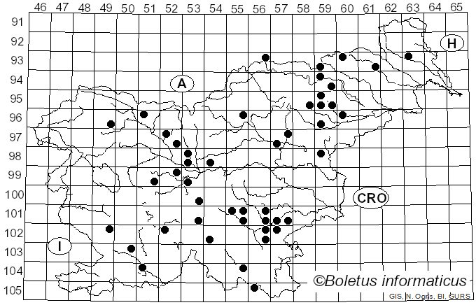 <i>Russula lilacea</i> Quél. (1876)