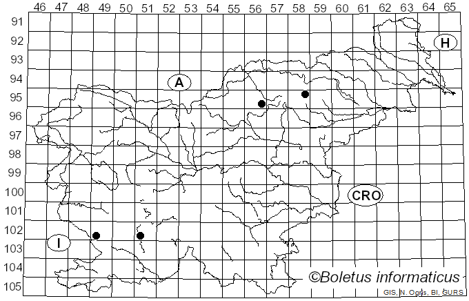 <i>Sirococcus conigenus</i> (DC.) P.F. Cannon & Minter (1983)