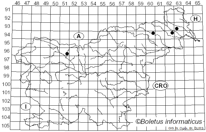 <i>Chromocyphella muscicola</i> (Fr.) Donk (1959)