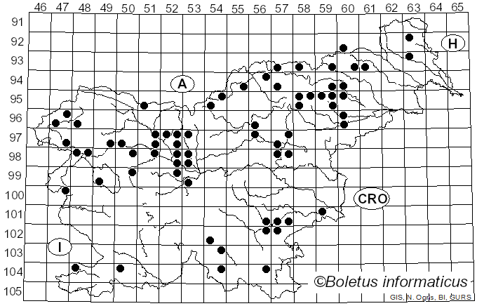 <i>Phylloporus</i> Quél. (1888)