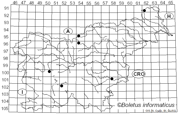 <i>Xylota jakutorum</i> Bagatshanova (1980)