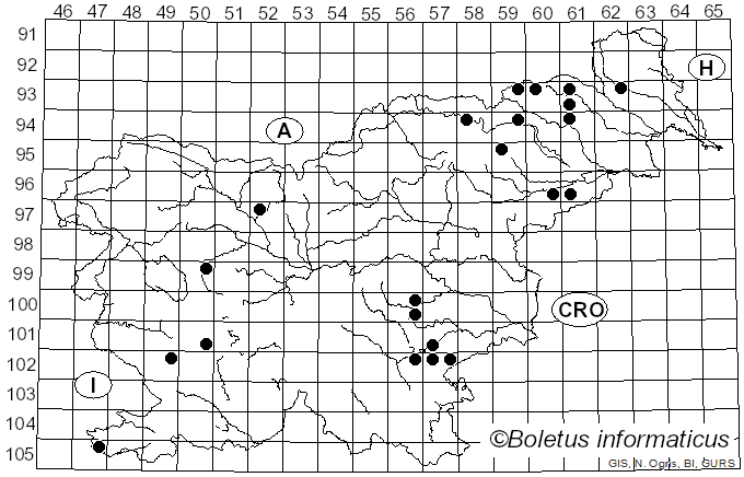 <i>Cantharellus ferruginascens</i> P.D. Orton (1969)