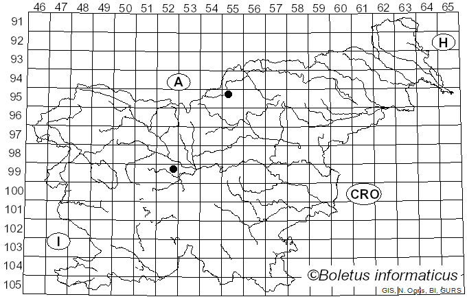 <i>Puccinia calthae</i> Link
