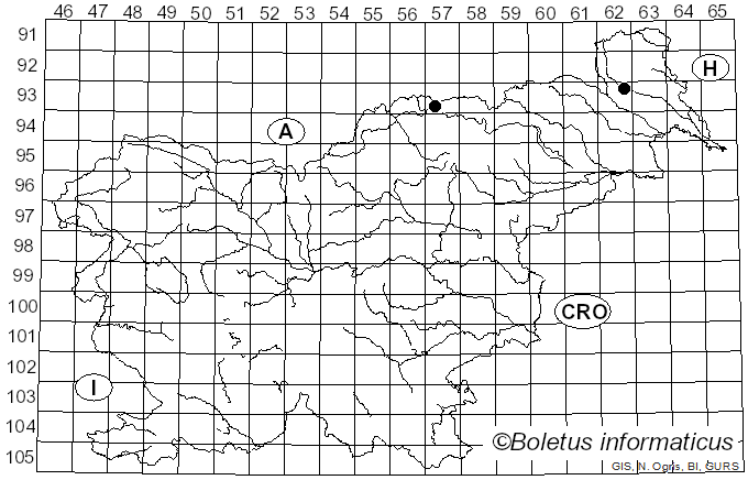 <i>Phomopsis juniperivora</i> G. Hahn (1920)