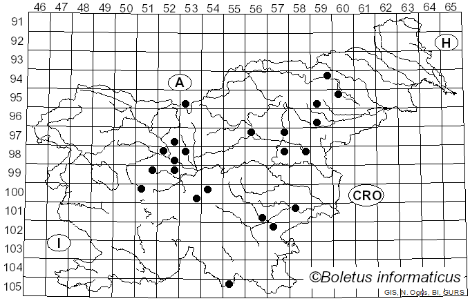 <i>Psathyrella vernalis</i> (J.E. Lange) M.M. Moser (1967)