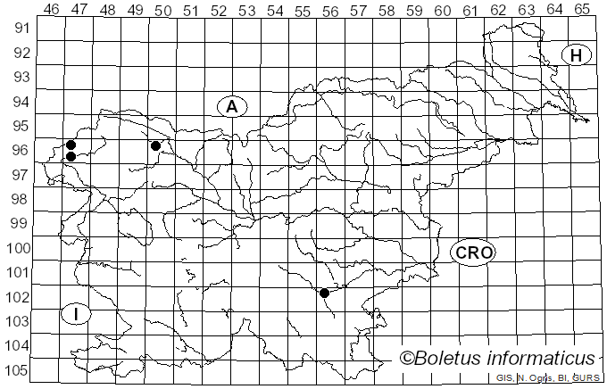 <i>Tricholoma frondosae</i> Kalamees & Shchukin (2001)