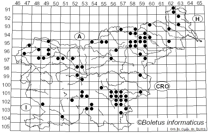 <i>Russula firmula</i> Jul. Schäff. (1940)