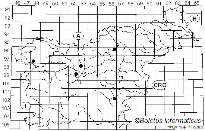 <i>Podosphaera pannosa</i> (Wallr.) de Bary (1870)