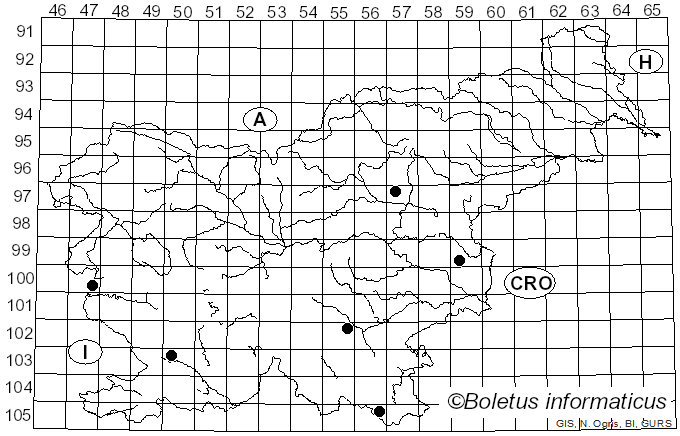 <i>Psathyrella tephrophylla</i> (Romagn.) Bon