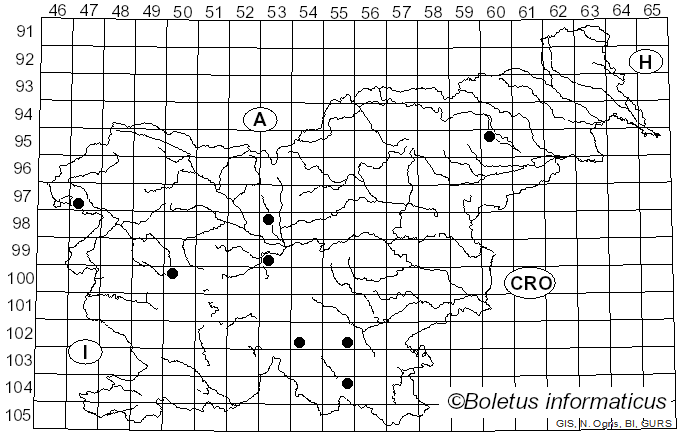 <i>Russula fragrantissima</i> Romagn. (1967)