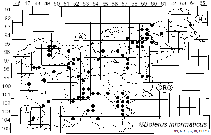 <i>Phlegmacium percome</i> (Fr.) A. Blytt (1905)