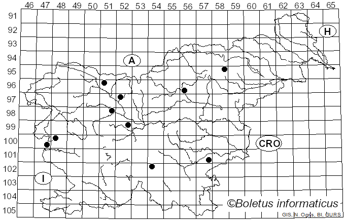 <i>Cudoniella acicularis</i> (Bull.) J. Schröt. (1893)