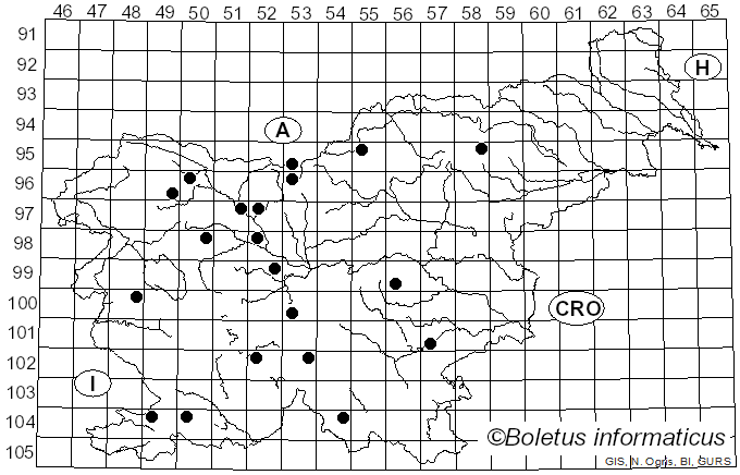<i>Exidiopsis</i> (Bref.) Möller (1895)