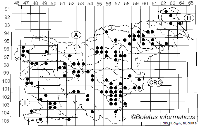 <i>Russula parazurea</i> Jul. Schäff. (1931)