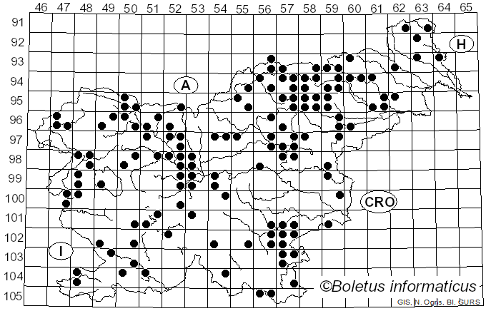 <i>Lactarius turpis</i> Fr. (1838)
