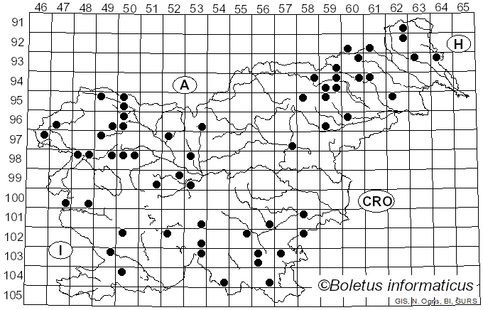 <i>Stereum rugosum</i> Pers. (1794)