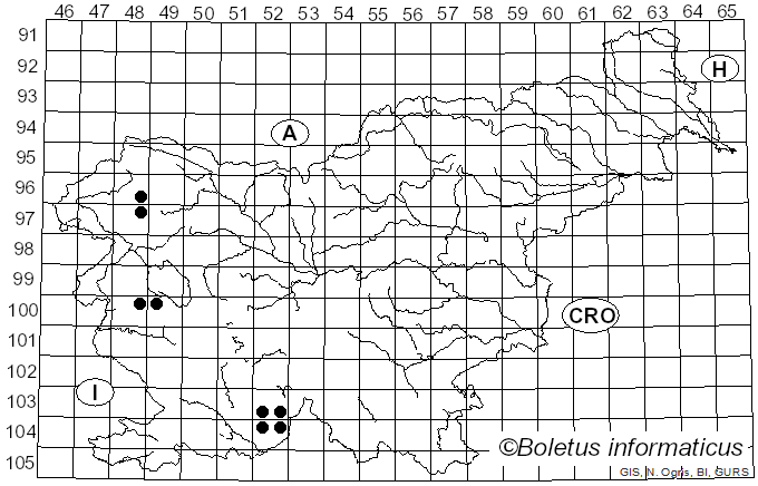 <i>Biatora chrysantha</i> (Zahlbr.) Printzen (1994)