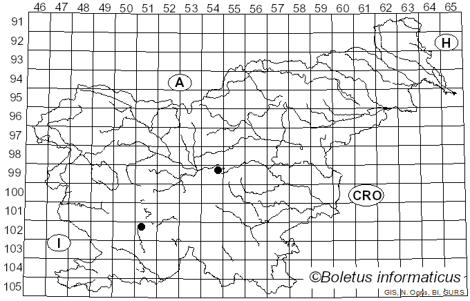 <i>Hypha argentea</i> Pers.