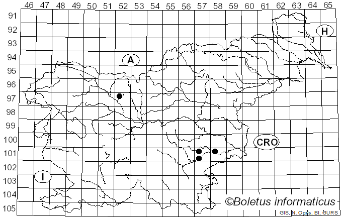 <i>Tremella steidleri</i> (Bres.) Bourdot & Galzin (1928)