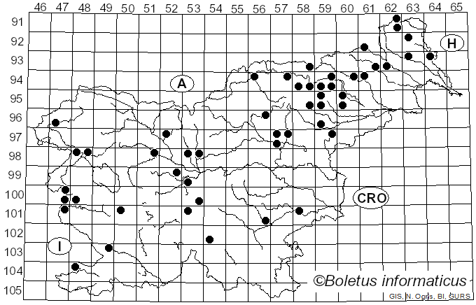 <i>Flammula alnicola</i> (Fr.) P. Kumm. (1871)
