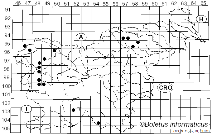 <i>Lecanora sambuci</i> (Pers.) Nyl. (1861)