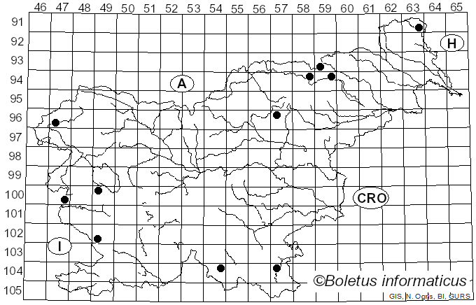 <i>Callistosporium</i> Singer (1944)