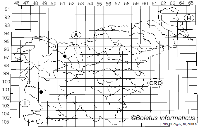 <i>Byssocorticium atrovirens</i> (Fr.) Bondartsev & Singer (1944)