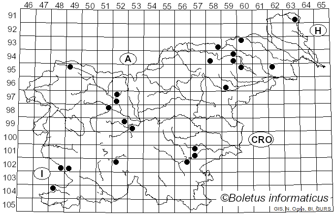 <i>Clitocybe vibecina</i> (Fr.) Quél. (1872)