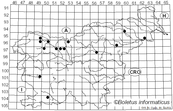 <i>Verpa conica</i> (O.F. Müll.) Sw. (1815)