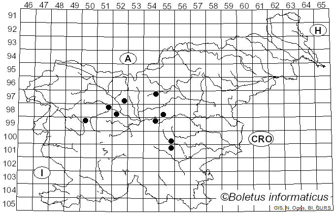 <i>Pristiphora</i>