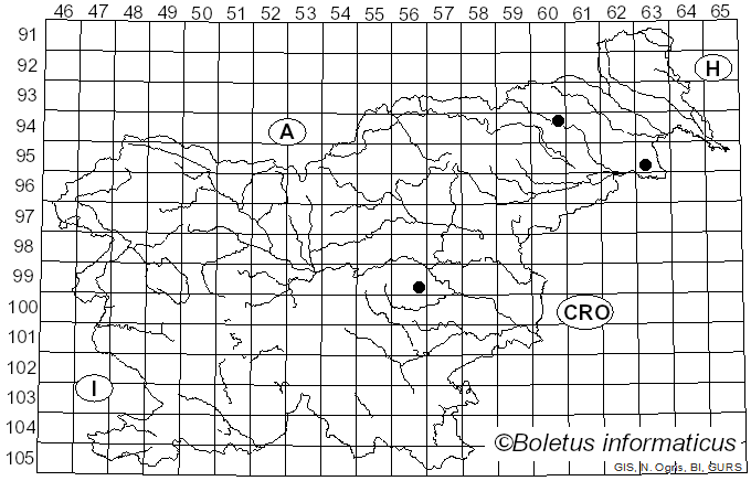 <i>Lopadostoma</i> (Nitschke) Traverso (1906)