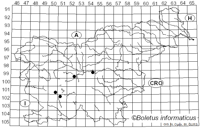 <i>Fibrillaria</i> Sowerby (1803)