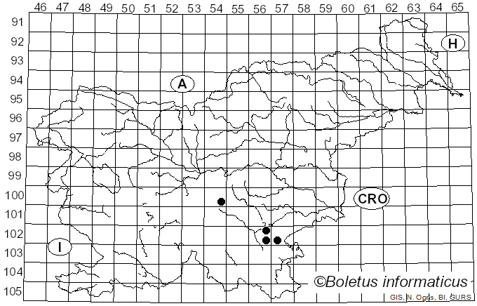 <i>Hebeloma subsaponaceum</i> P. Karst. (1884)