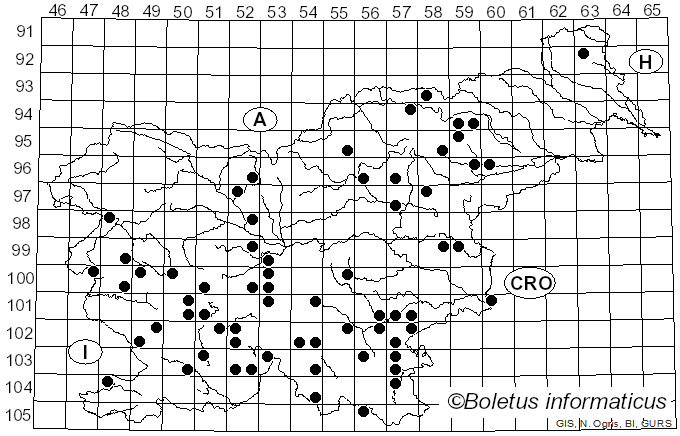 <i>Ganoderma carnosum</i> Pat. (1889)