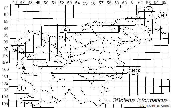 <i>Clitocybe harmajae</i> Lamoure (1972)