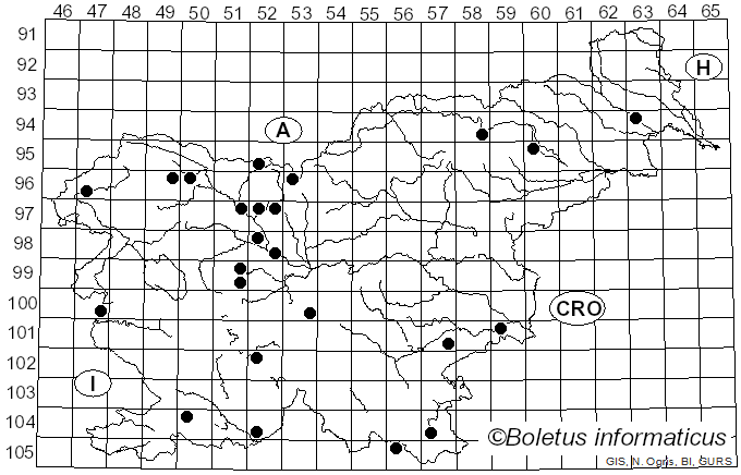 <i>Conocybe aporos</i> Kits van Wav. (1970)