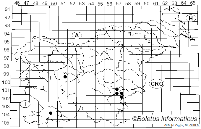<i>Cortinarius pseudocyanites</i> Rob. Henry (1957)