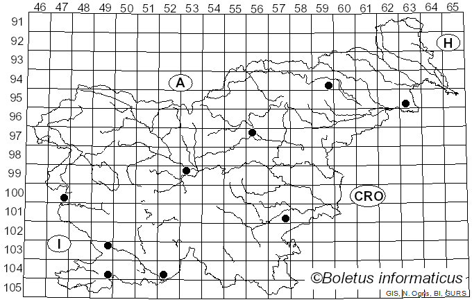 <i>Phylloscypha phyllogena</i> (Cooke) Van Vooren (2020)