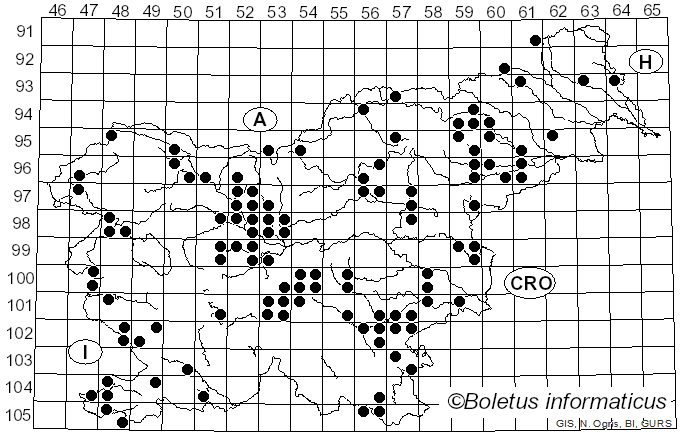 <i>Volvariella</i> Speg. (1898)